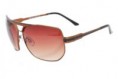 /album/oculos-de-sol/a222-0201g-marrom-jpg/